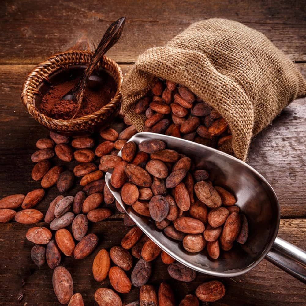 Selección de bombones artesanales